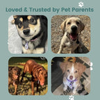 Dog ID Tag with QR Code & NFC, Silent Silicone Dog Name Tags Personalized for Pets- Scan QR for Instant Location Alert, Emergency Contact and Modifiable Pet Profile (Green)