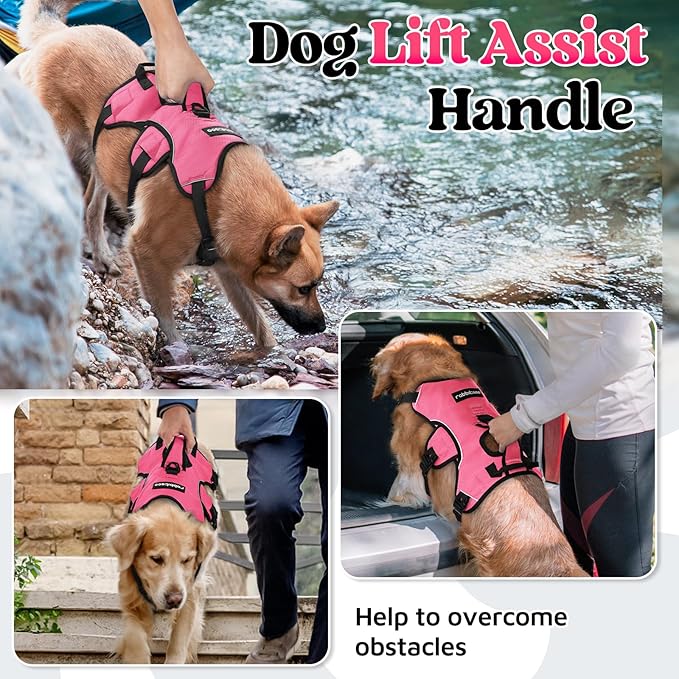 rabbitgoo Escape Proof Dog Harness, Soft Padded Full Body Pet Harness, Reflective Adjustable No Pull Vest with Lift Handle and Leash Clip for Large Dogs Walking Hiking Training, XL, Pink