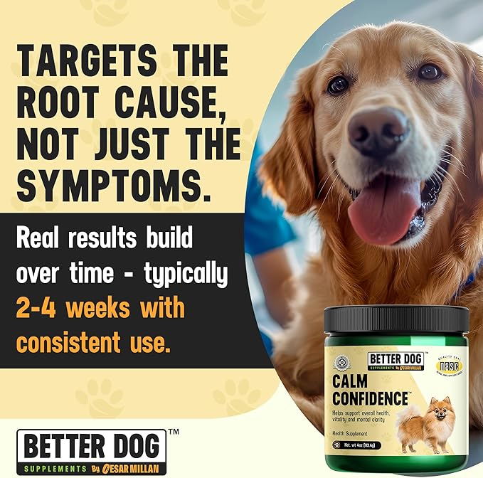 Better Dog Supplements Calm Confidence by Cesar Millan – Natural Cognitive & Brain Support for Dogs – Focus, Energy & Vitality with Ashwagandha, Panax Ginseng & Herbs – 4oz, (60-Day Supply)