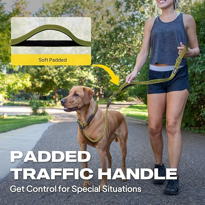 Fida 2-in-1 Slip Leads for Dogs with Double Handles, Tangle Free Leash for Large Dogs That Pull, Heavy Duty No Pull Training Leash Reflective Soft Padded for Large & Medium Breed(6ft,Green)