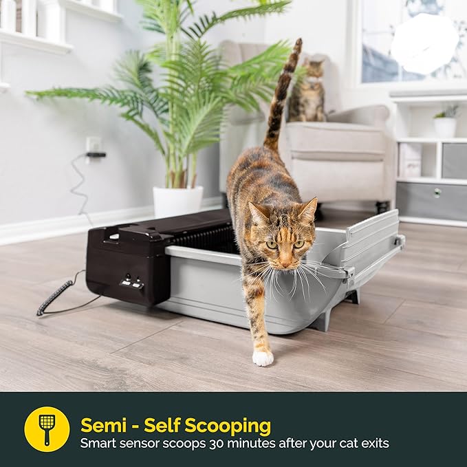 Pet Zone Self Cleaning Semi Automatic Cat Litter Box - Smart Scoop Cat Litter Box with 6 Bags & Carbon Filter for Up to Two Cats 6-16 Pounds