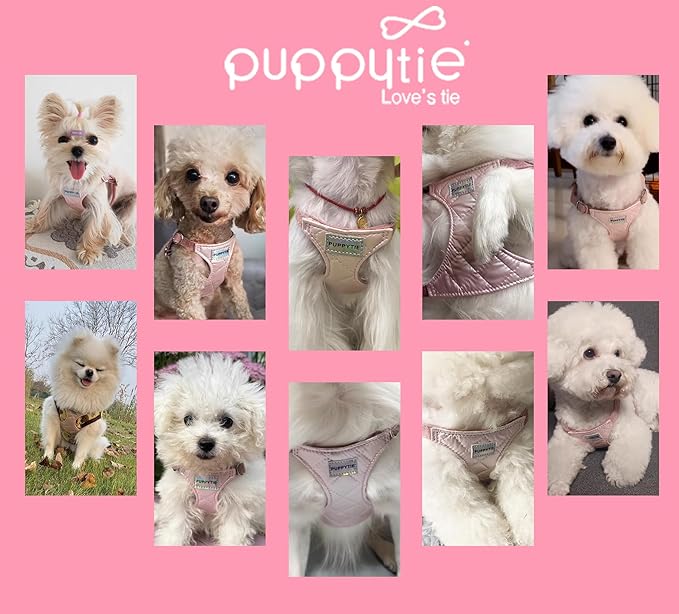 Puppytie No Pull xs Dog Harness with Multifunction Dog Leash,Soft Adjustable No Choke Escape Proof Pet Harness Vest,Glossy Pink,XS
