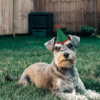 20 Pcs Dog Birthday Hat Set for Small Medium Dogs Cat Puppies, Mini Party Hat with Adjustable Headbands, Cute Pet Hat with Pompons for Birthday Christmas Party Decoration Accessories (Small 3.5 Inch)