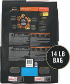 Purina Pro Plan Complete Essentials Shredded Blend Salmon and Rice Formula Adult High Protein Cat Food - 14 lb. Bag