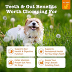 Zesty Paws OraStix for Dogs - Probiotic Sticks with Hemp Seed Curcumin Ginger Root Taurine - Supports Gut Function Flora Immune System Proprietary Healthy Teeth Gum Blend - 25oz