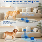 Magicorange Interactive Dog Toys,Automatic Rolling Dog Ball Toys,Dogs Rolling Effect Tennis Balls Herding Balls for Puppy/Small/Medium/Large Dogs (Blue)