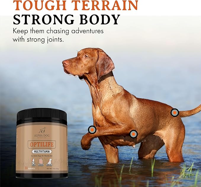 OptiLife Dog Multivitamin Powder - Adult Dog Multivitamin with Probiotics, Allergy Support, Joint Support, Skin & Coat Support - Dog Vitamins and Supplements - Multivitamin for Dogs (30 Servings)