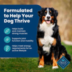 Blue Buffalo Life Protection Formula Adult Dry Dog Food, Helps Build and Maintain Strong Muscles, Made with Natural Ingredients, Fish & Brown Rice Recipe, 34-lb. Bag