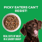 KOHA Pike Place Platter Stew for Dogs with Beef and Salmon, High Protein Wet Dog Food, 12.7oz Cans (Case of 12)