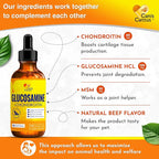 Canis&Cattus Liquid Glucosamine Dogs and Cats – Joint Supplement with MSM & Chondroitin – Mobility & Hip Support for Pets – Beef Flavor – 2oz