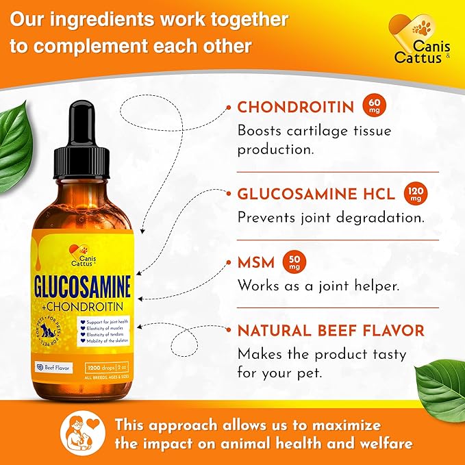 Canis&Cattus Liquid Glucosamine Dogs and Cats – Joint Supplement with MSM & Chondroitin – Mobility & Hip Support for Pets – Beef Flavor – 2oz