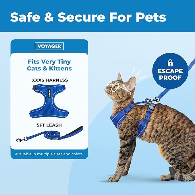 Voyager Escape-Proof Step-in Lock Cat Harness & 5ft Neoprene-Handle Leash Set All-Weather Mesh with Reflective Stitching for Small to Large Cats by Best Pet Supplies, Royal Blue (327), XXXS