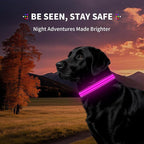 LED Dog Collar with Metal Buckle - USB Rechargeable Glow Collar for Dogs, Waterproof Light Up Dog Collar w/Reflective Strips - Adjustable Night Safety Collars by PetIsay(Pink,Medium)