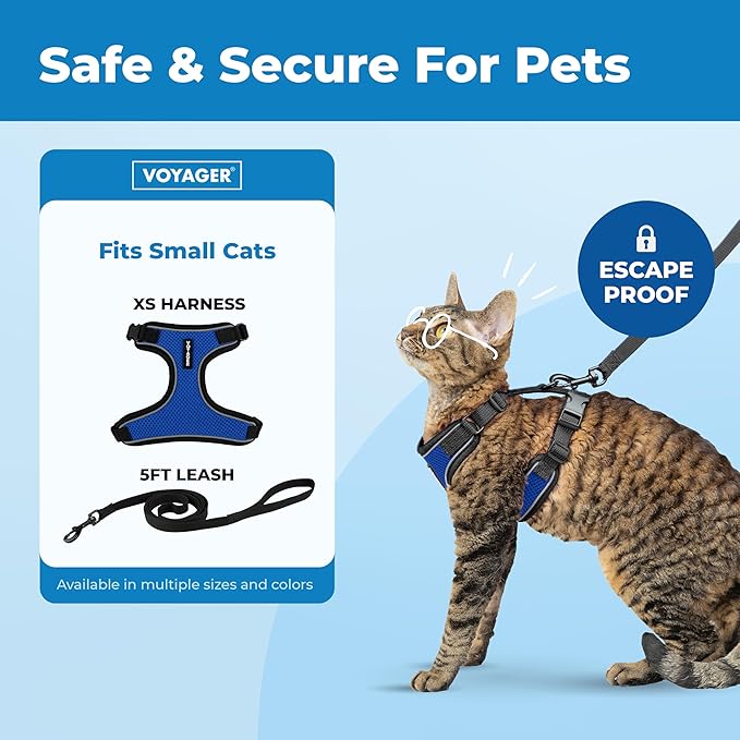 Voyager Escape-Proof Step-in Lock Cat Harness & 5ft Neoprene-Handle Leash Set All-Weather Mesh with Reflective Stitching for Small to Large Cats by Best Pet Supplies, Black Trim-Royal Blue (327), XS