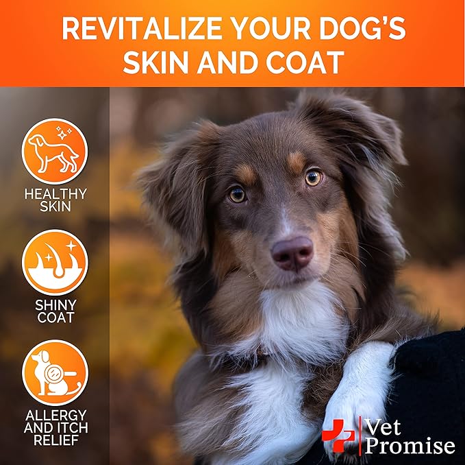 Omega 3 for Dogs - Skin and Coat Supplement - Fish Oil for Dogs Chews - Allergy and Itch Relief - Anti Shedding Supplement - Dry Skin Treatment - Salmon Oil - Made in USA - 120 Soft Treats