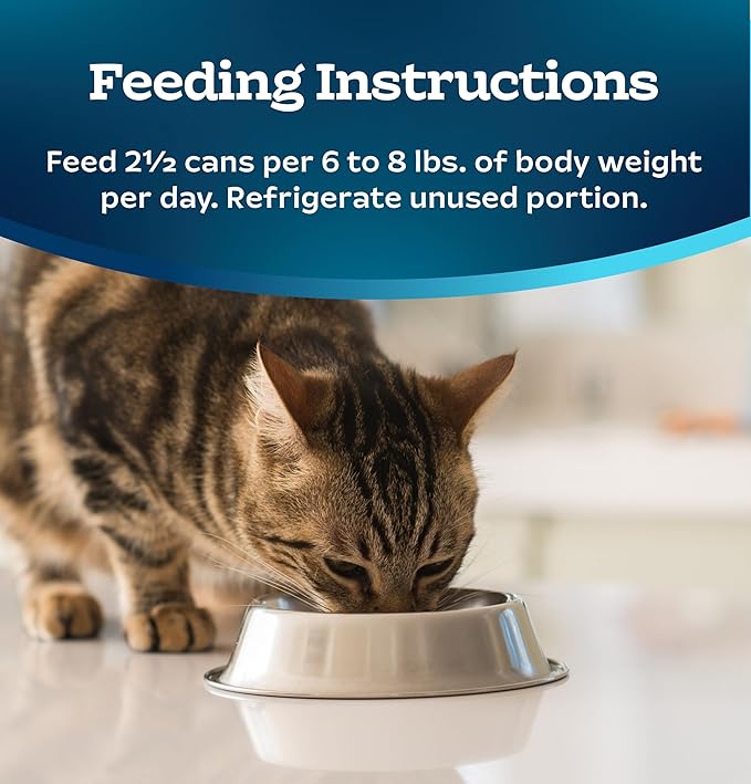 Blue Buffalo Tastefuls Natural Tender Morsels Wet Cat Food, Chicken Entrée 3-oz cans (Pack of 24)