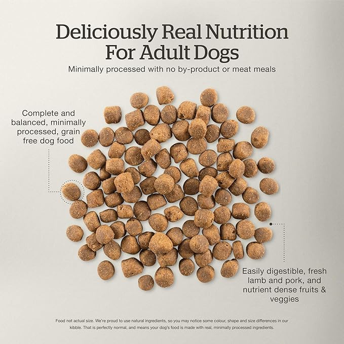 Now Fresh Grain-Free Premium Dry Dog Food with Lamb & Pork, Healthy Kibble for Adults Made with Real Red Meat, Chicken-Free Recipe, Enhanced with Pumpkin & Probiotics for Good Digestion, 3.5 lb Bag