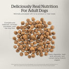 Now Fresh Grain-Free Premium Dry Dog Food with Lamb & Pork, Healthy Kibble for Adults Made with Real Red Meat, Chicken-Free Recipe, Enhanced with Pumpkin & Probiotics for Good Digestion, 22 lb Bag