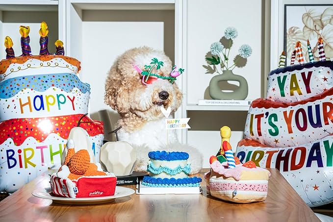 Birthday Bone Interactive Dog Toy - Interactive Tug Rope Pet Toy - Cute Unique Design Party Birthday Gift - Small Medium Puppy - Durable Chew Resistant Plush Toy with Squeaker for Teething (White)