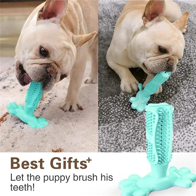 Chew Toy for Dog Toothbrush Stick Dog Toys for Aggressive Chewers Interactive Toys Treats Tough Toy to Keep Them Busy Chew for Small Dogs (Blue, L)