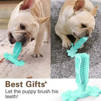 Chew Toy for Dog Toothbrush Stick Dog Toys for Aggressive Chewers Interactive Toys Treats Tough Toy to Keep Them Busy Chew for Small Dogs (Blue, L)