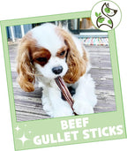 Nature Gnaws Beef Gullet Sticks for Dogs 5-6" (1Lb) - Natural Beef Jerky Stick Dog Chew Treats - Rawhide Free