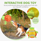SCENEREAL Turtle Dog Toy - Durable Chew & Fetch Toy for Large Dogs, Floats on Water for Pool, Lake or Beach, Interactive Outdoor Training Retrieving Dummy for Medium Puppies