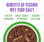 B.F.F. OMG - Best Feline Friend Oh My Gravy!, Tuna & Lamb Lights Out with Tuna & Lamb, 5.5oz Can (Pack of 8)