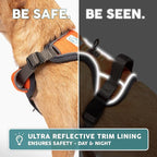 Embark Adventure Dog Harness, Reflective Trim No Pull Dog Harness Medium Sized Dogs - Military Grade Nylon, Front Clip with Gel Lined Handle.