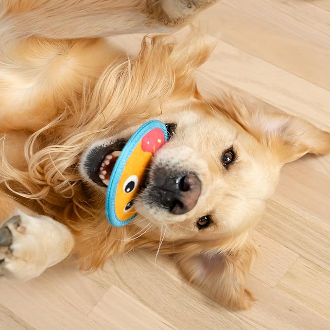 Outward Hound Tough Skinz Durable Squeaky Dog Toy with Two Tough Layers, Donut, Multicolor, Small