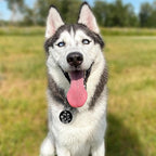 Myluckytag QR Code Stainless Steel Personalized Dog ID Tag, Engraved Dog Collar Tag with Online Pet Profile and Location Alert Email