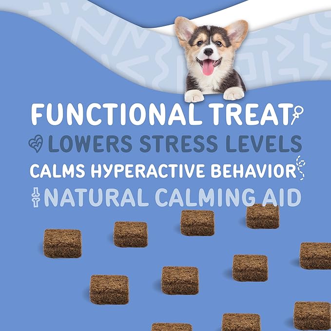 waggedy Calm with Melatonin - Calming Chews for Dogs to Manage Stress & Anxiety Relief — Pet Calming Treats for Travel, Fireworks & Separation — Dog Supplements & Vitamins (60 Chews)