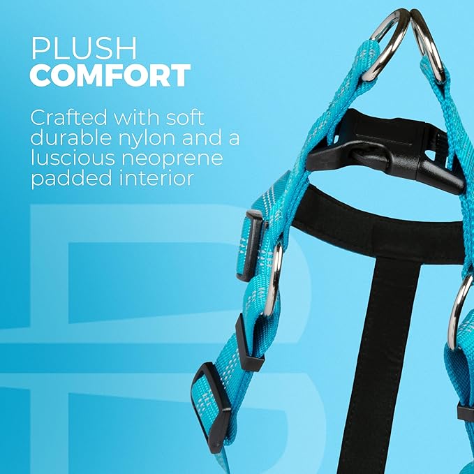 BLAZIN No Pull Dog Harness - Adjustable Step-in Reflective Nylon Vest Harness - Neoprene Padded for Extra Comfort (Medium, Blue)