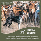 Bulk Dog Weight Gainer – High Calorie Dog Food Supplement & Protein Powder for Rapid Weight Gain, Mass, and Recovery – Appetite Stimulant – 230 Servings