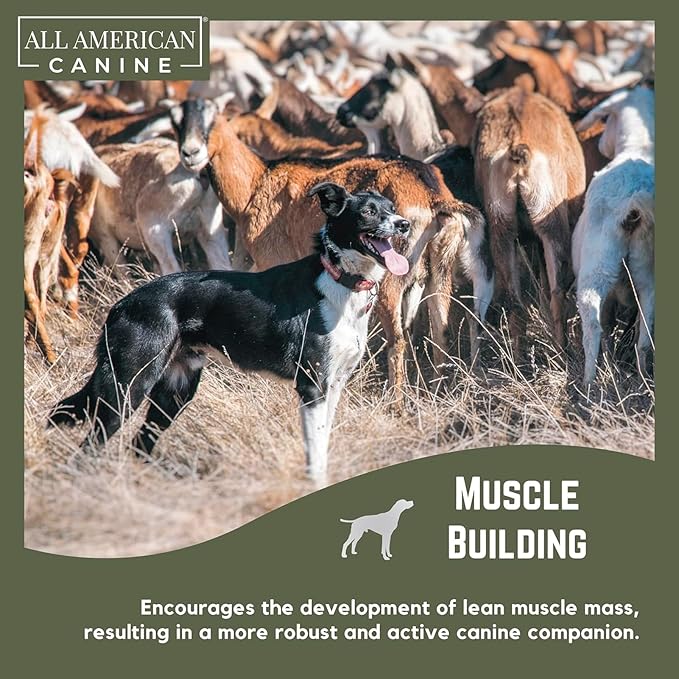 Bulk Dog Weight Gainer – High Calorie Dog Food Supplement & Protein Powder for Rapid Weight Gain, Mass, and Recovery – Appetite Stimulant – 230 Servings