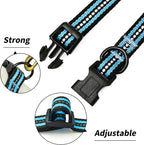 Mile High Life Reflective Dog Collar | Nylon Pet Collars wiith Buckle | Light Weight Puppy Collars | Light Blue Dog Collars for Large Dogs (Light Blue, L)