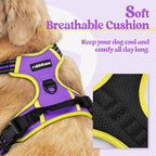 rabbitgoo Dog Harness No Pull with 2 Leash Clips, Adjustable Soft Padded, Reflective Oxford No Choke Pet Vest with Easy Control Handle for Large Dogs, Purple & Yellow, L