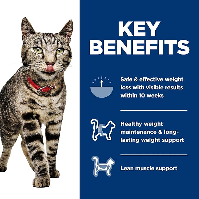 Hill's Science Diet Perfect Weight, Adult 1-6, Weight Management Support, Wet Cat Food, Variety Pack: Liver & Chicken Minced; Chicken Stew, 2.9 oz Can Variety Pack, Case of 24