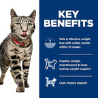 Hill's Science Diet Perfect Weight, Adult 1-6, Weight Management Support, Wet Cat Food, Variety Pack: Liver & Chicken Minced; Chicken Stew, 2.9 oz Can Variety Pack, Case of 24