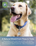 Natural Flea & Tick Repellent Collar Tag for Dogs & Cats – BioPower Pet Shield – Safe for Pets When Used as Directed – Lasts 1 Full Year - Small/Regular Tag Bundle (1 Pack)