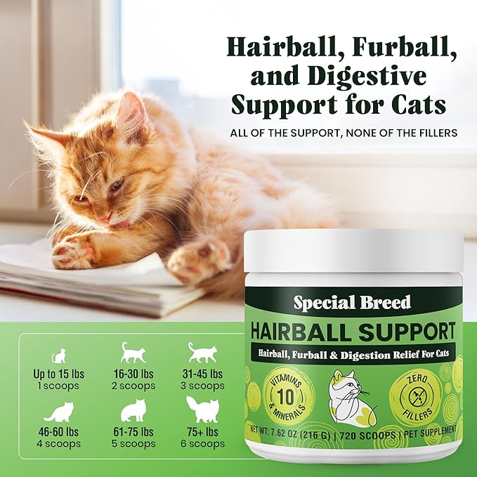 Hairball Support for Cats - 10 Super Ingredients for Hairball Relief, Digestive Support & Healthy Skin - No Fillers - Psyllium, Pumpkin, Omega-3s & More - 720 Scoops