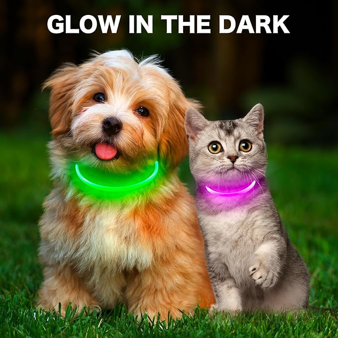 BSEEN Light Up Dog Collar - Rechargeable LED Dog Collar - Waterproof TPU Cuttable Glowing Pet Collar for Small Dogs& Cats - Safety Dog Lights for Night Walking (XS- Pink 40cm)
