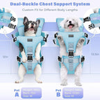 YUDODO Front Pet Carrier Backpack for Small Dogs and Cats, Secure and Breathable Mesh, Ergonomic Support, Adjustable for Walking, Hiking, or Travel (Blue M)