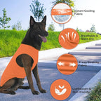 2 Pack Dog Shirts, Ice Pet Vest Dog Clothes for Instant Cooling, Lightweight Breathable Sleeveless T-Shirts for Large Dogs, Peacock Blue+OrangeRed (XL)
