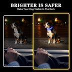 LED Light Up Dog Collar Rechargeable Waterproof, Glow in Dark Dog Collar, Lighted Dog Collars for Night Walking Charging USB, Safety for Small Medium Large Dogs (S, Blue)