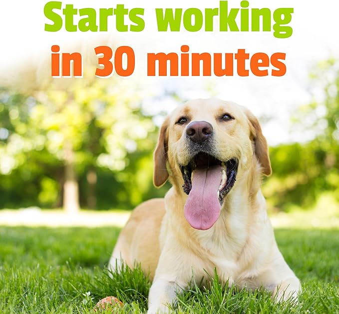 Pet Naturals BusyButter Extra Strength Calming Peanut Butter for Dogs - Great for Dog Toys, Lick Mats, Training, Calming Treats, Dog Anxiety Relief, Grooming, Treats and More - 1 6oz Pouch