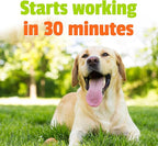 Pet Naturals BusyButter Extra Strength Calming Peanut Butter for Dogs - Great for Dog Toys, Lick Mats, Training, Calming Treats, Dog Anxiety Relief, Grooming, Treats and More - 1 6oz Pouch