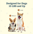 Jasper 4 Pack Replacement Brush Heads for Macrobrush 360° - Dog Toothbrush Kit for Dog Teeth Cleaning for Medium to Large Dogs, Pet Toothbrush to Keep Dog Teeth Clean & Dog Breath Fresh