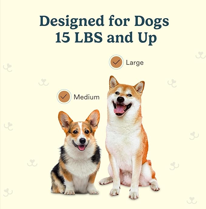 Jasper 4 Pack Replacement Brush Heads for Macrobrush 360° - Dog Toothbrush Kit for Dog Teeth Cleaning for Medium to Large Dogs, Pet Toothbrush to Keep Dog Teeth Clean & Dog Breath Fresh