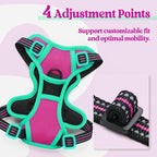 rabbitgoo Dog Harness No Pull with 2 Leash Clips, Adjustable Soft Padded, Reflective Oxford No Choke Pet Vest with Easy Control Handle for Large Dogs, Hot Pink & Turquoise, XS
